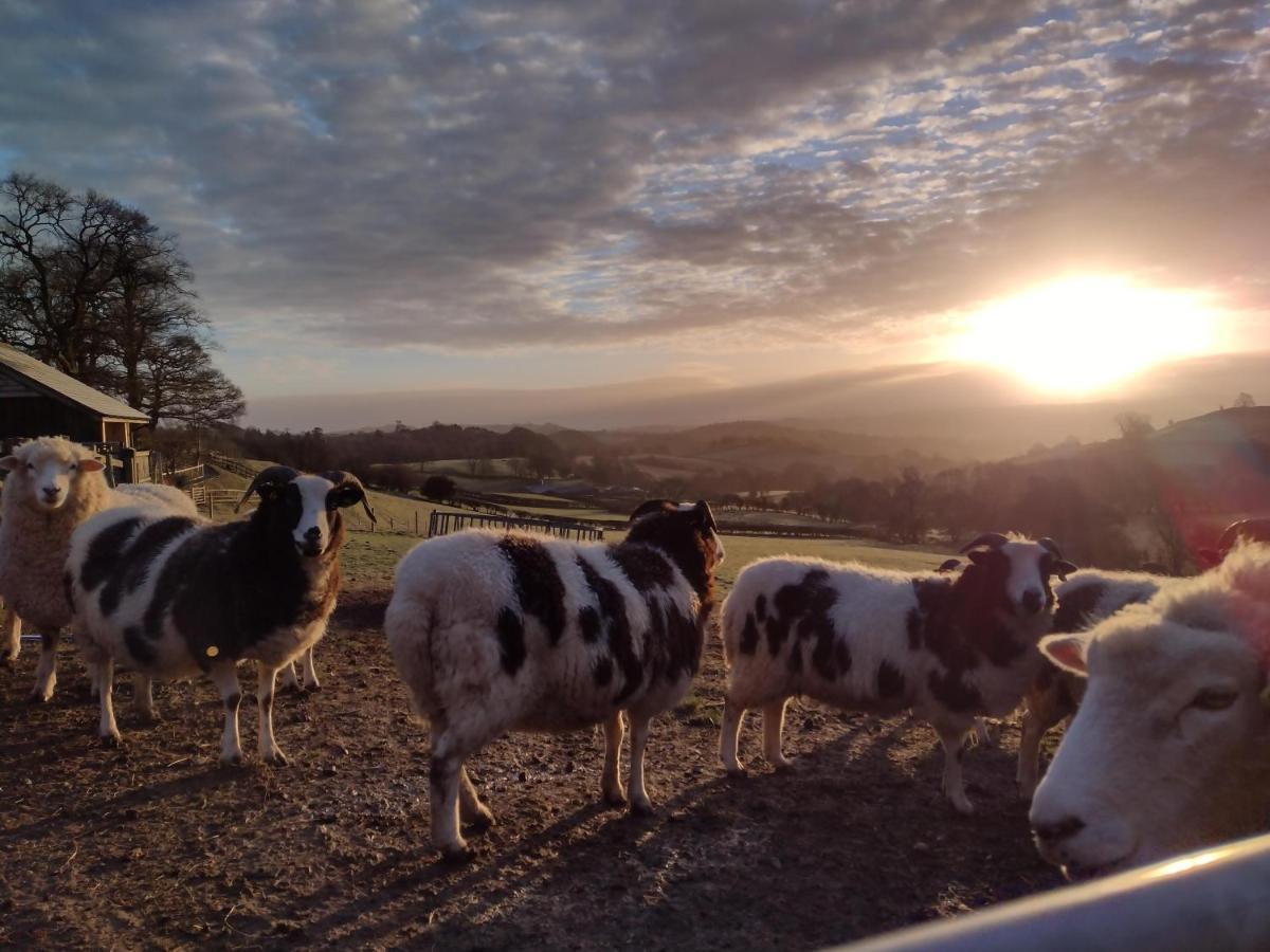 Llanfyllin Sheep Dip Cottage - 5* Cyfie Farm, With Log Burner And Private Hot Tub מראה חיצוני תמונה