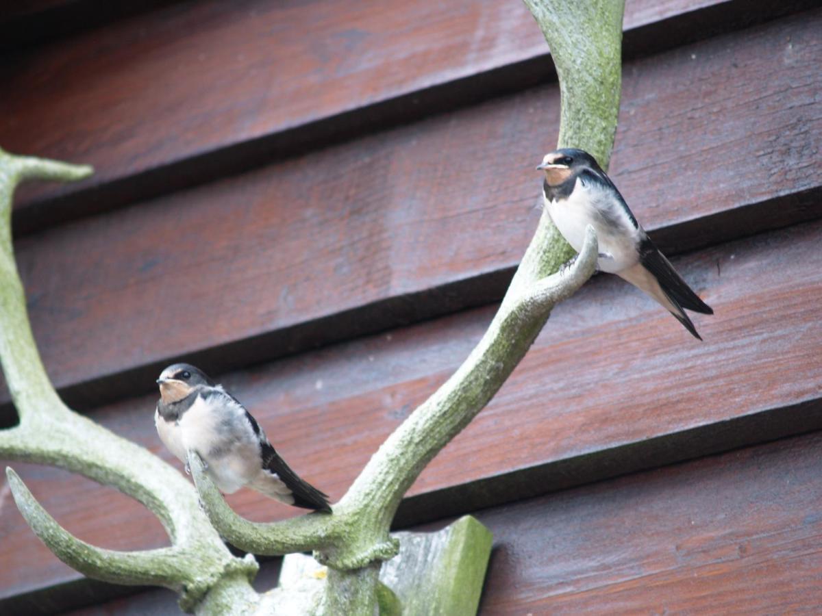 Llanfyllin Sheep Dip Cottage - 5* Cyfie Farm, With Log Burner And Private Hot Tub מראה חיצוני תמונה