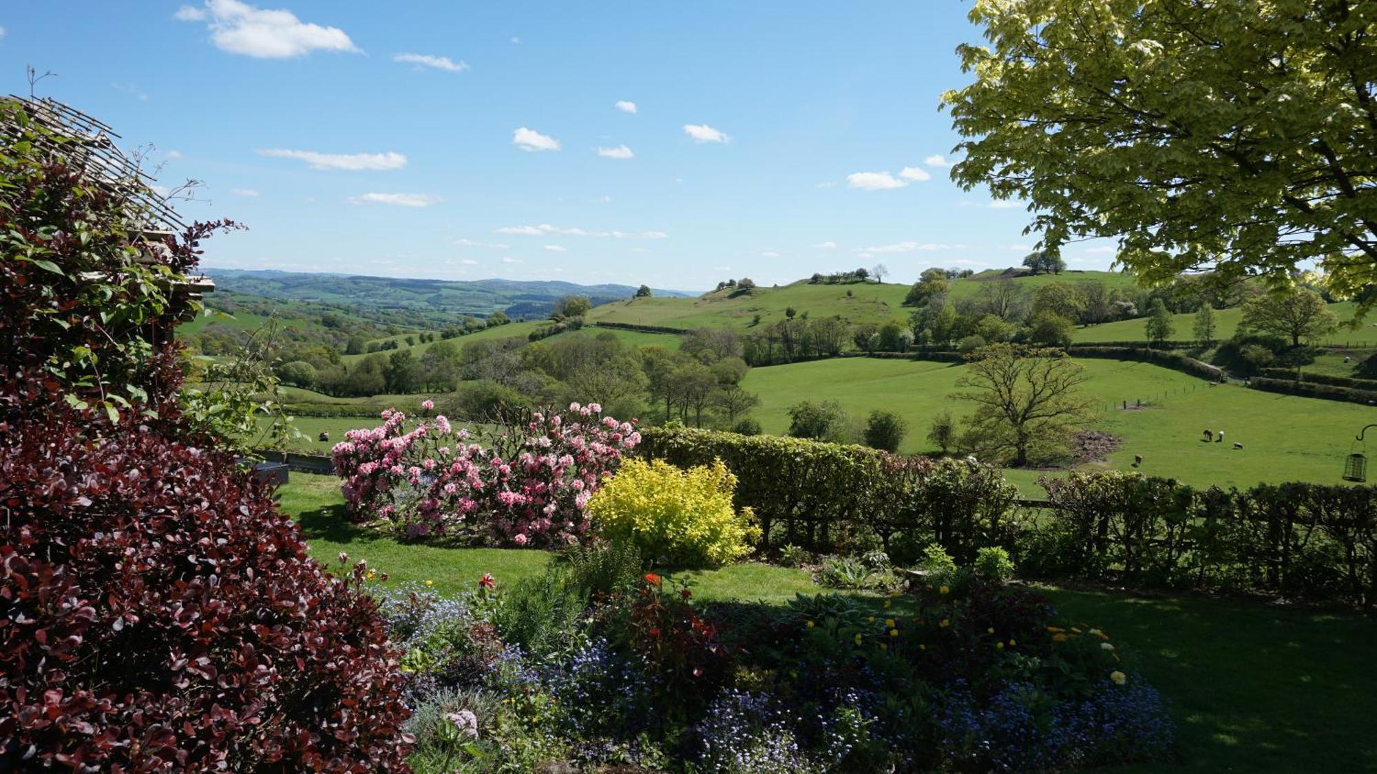 Llanfyllin Sheep Dip Cottage - 5* Cyfie Farm, With Log Burner And Private Hot Tub מראה חיצוני תמונה
